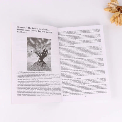 The Complete Natural Herbal Remedies Self Healing Collection 30 Books in 1, 1000+ Herbal Recipes Inspired by Barbara O'Neill Holistic Wellness Book