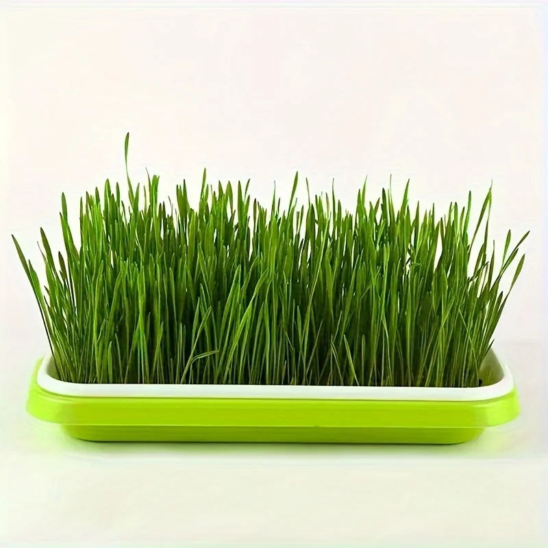 Micro‑greens growing trays, seed germination trays, hydroponic basket soilless seed germinator, lidded germination tray set, suitable for gardens