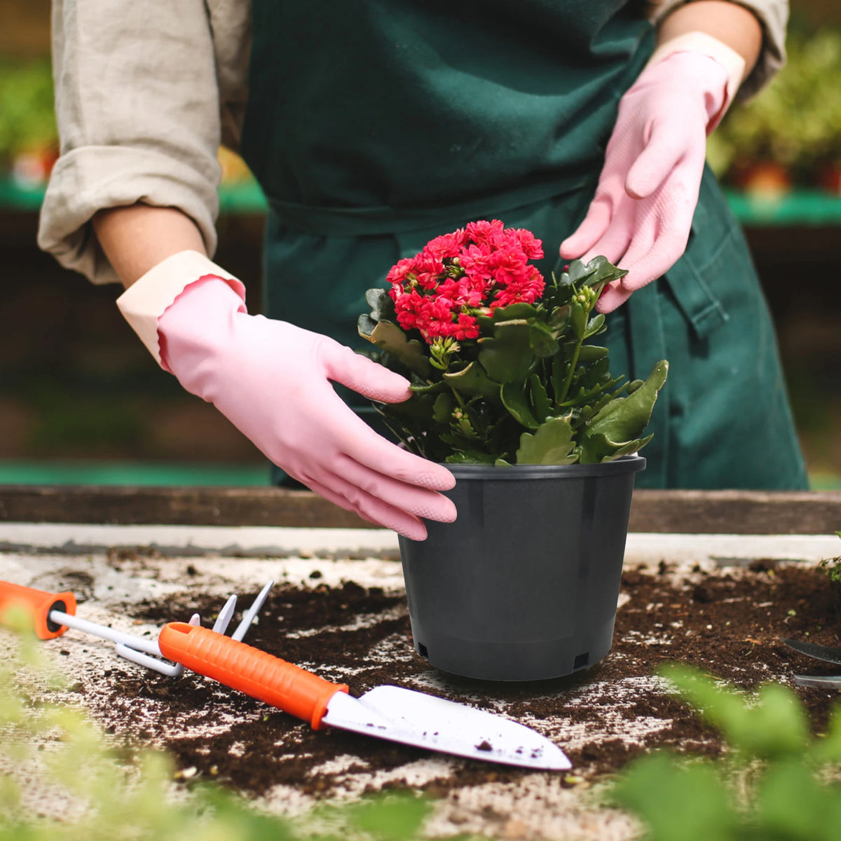 Plastic Flower Pot with Drainage Holes Can Be Used for Planting, Cuttings, Seedlings, Succulent Cultivation, Seed Germination, Indoor and Outdoor Reusable 5-Gallon 10PCS Black Round Short