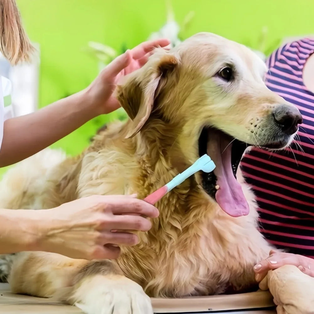 3-Sided Pet Toothbrush Dog Removing Bad Breath Tartar Cleaning Mouth Pet Cat Dental Care