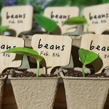 75-Pack Bamboo Plant Labels with Marker Pen for Garden, Seedling, Herbs, and Vegetables Identification