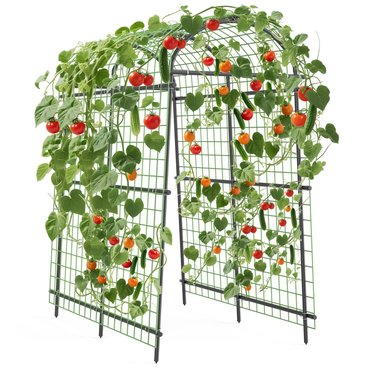 Metal Garden Arch Trellis, 7.6Ft Black for Raised Beds, Plant Support for Cucumbers & Climbing Vegetables with 7 Horizontal Pipe
