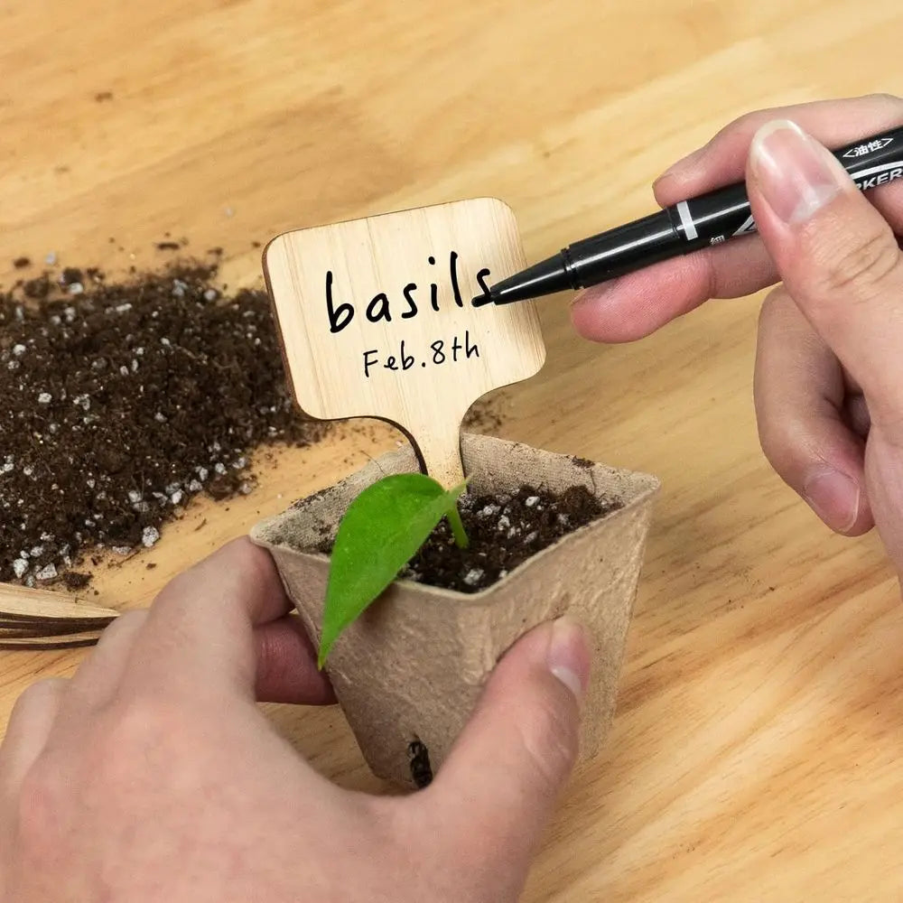 75-Pack Bamboo Plant Labels with Marker Pen for Garden, Seedling, Herbs, and Vegetables Identification