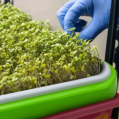 Micro‑greens growing trays, seed germination trays, hydroponic basket soilless seed germinator, lidded germination tray set, suitable for gardens