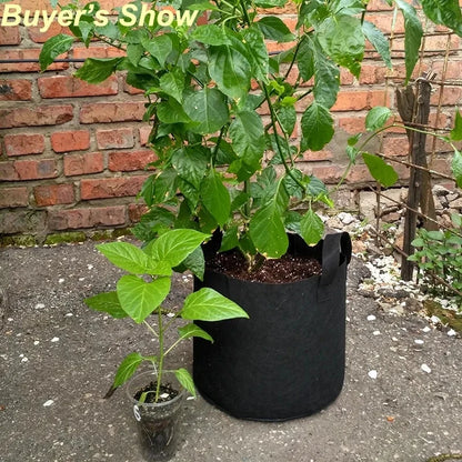 10pcs Grow Bags 5 Gallon Garden Planting Nonwoven Fabric Pots with Reinforced Handle Black