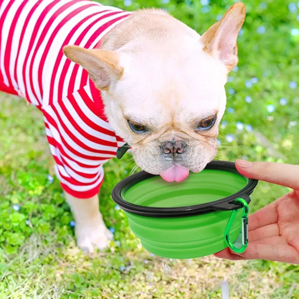 Collapsible Pet Bowls, 2-Pack, Portable Feeding Water Dish for Dogs and Cats, Travel-Friendly with Carabiners (Small, Blue & Green)
