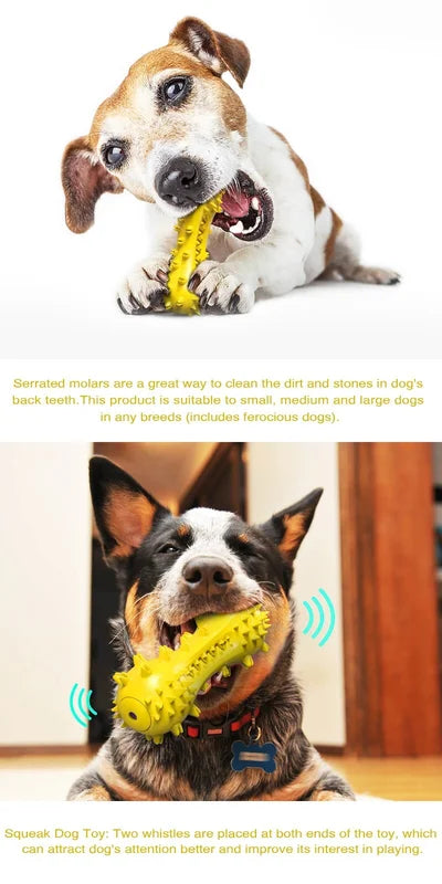 Dog Chew Toys for Aggressive Chewers, Durable Pet Teeth Cleaning