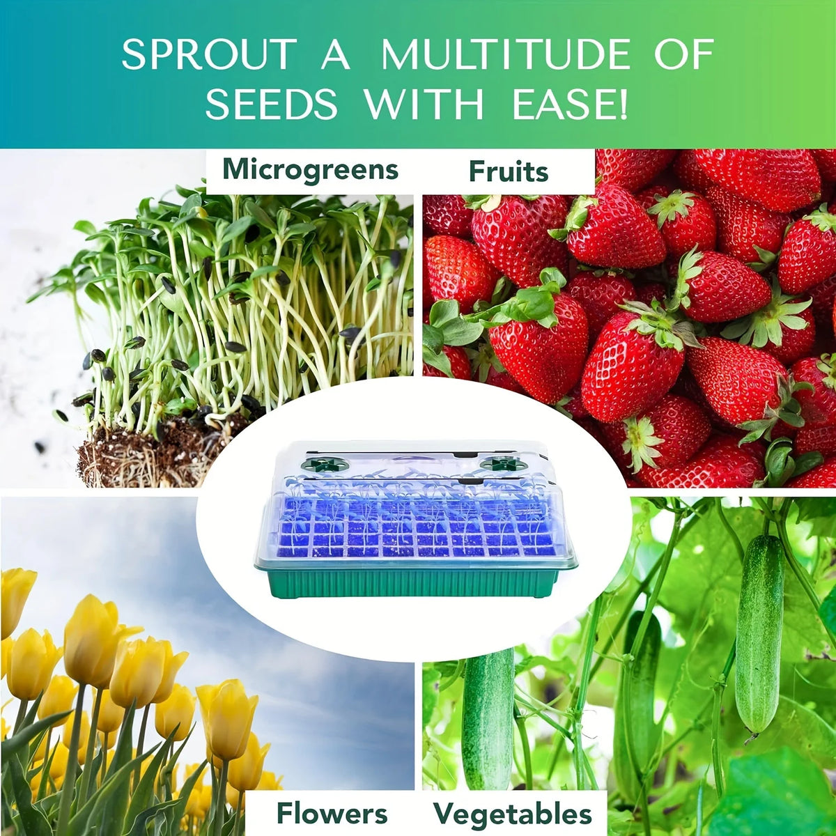 4 Sets of Seed Germination Tray Sets, Equipped with High-Dome Seed Germination Kit - 160 Cells, 8 LED Grow Lights, Smart Timer,