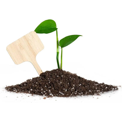 75-Pack Bamboo Plant Labels with Marker Pen for Garden, Seedling, Herbs, and Vegetables Identification
