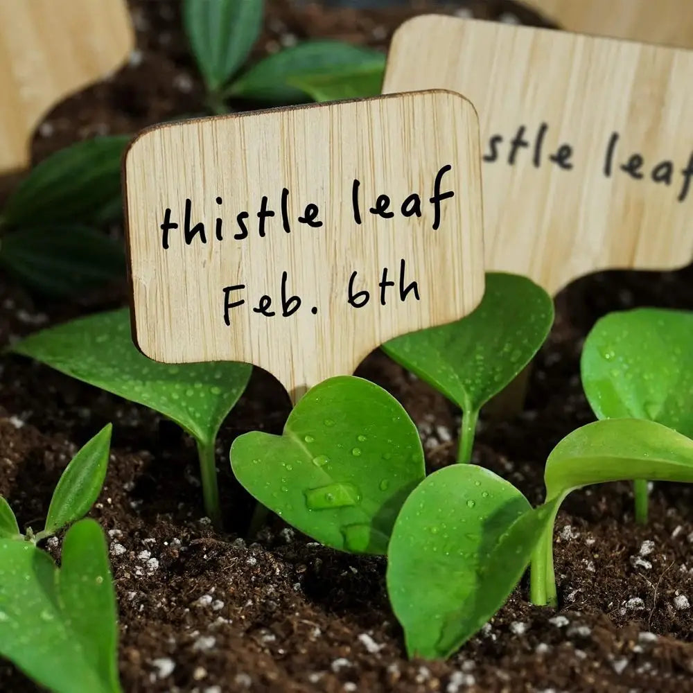75-Pack Bamboo Plant Labels with Marker Pen for Garden, Seedling, Herbs, and Vegetables Identification
