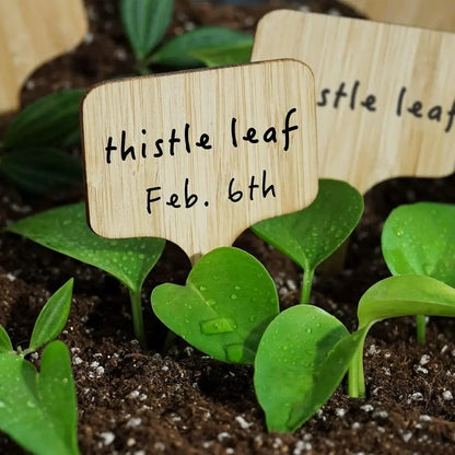 75-Pack Bamboo Plant Labels with Marker Pen for Garden, Seedling, Herbs, and Vegetables Identification