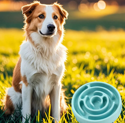 Slow Feeder Dog Bowl - Non-Slip Interactive Maze for Dogs & Cats, Prevents Bloat & Choking, Healthy Eating Design