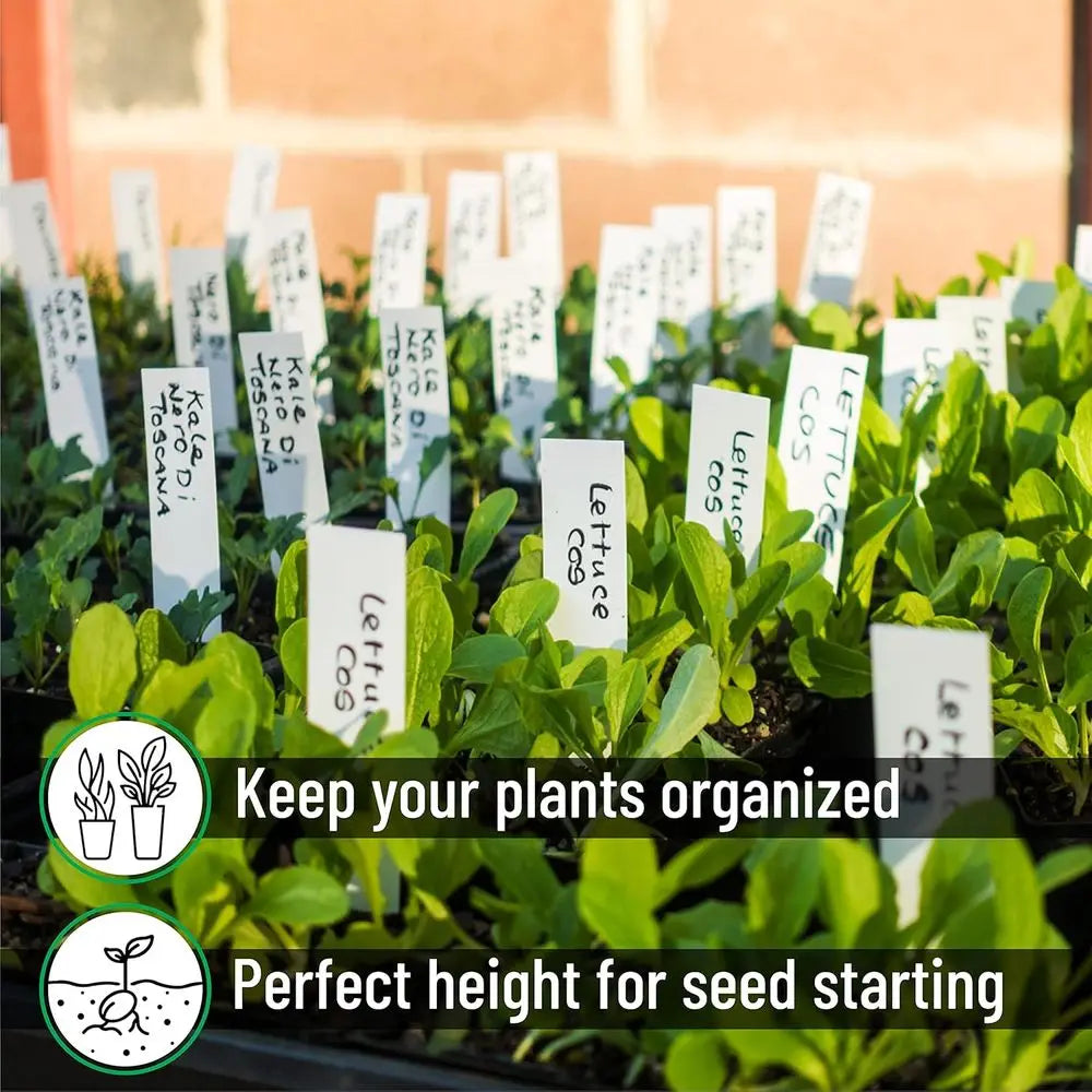 100 Pack 4 White Plastic Plant Labels - Waterproof Garden Markers for Plant Names and Seeds